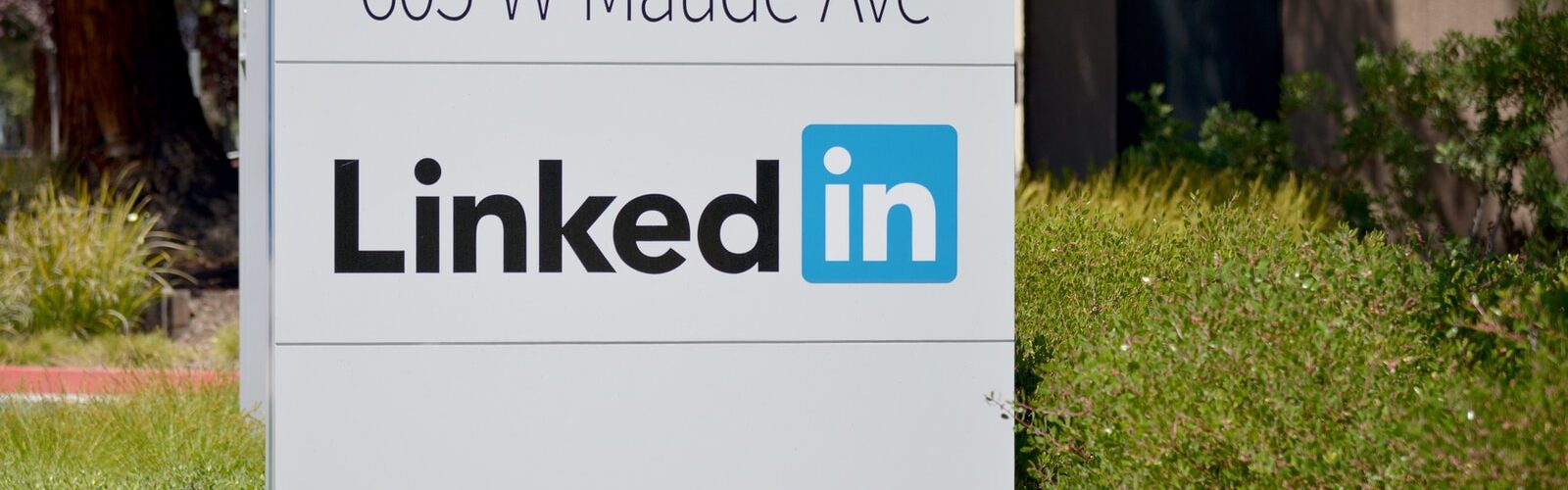 The Role That LinkedIn Can Play In Your Business