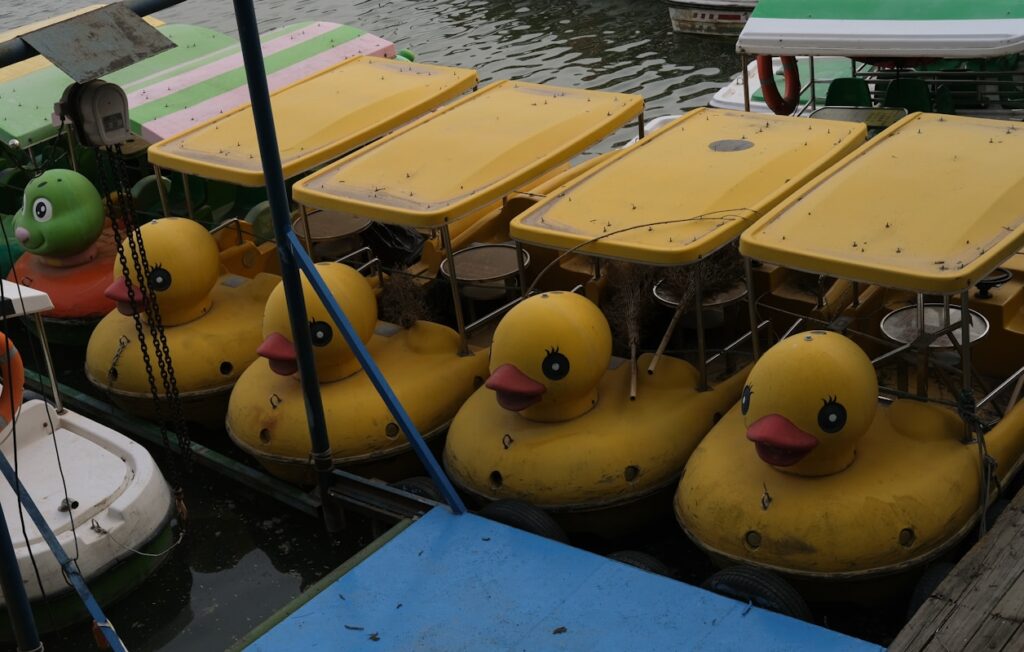 a row of yellow rubber ducks floating on top of a body of water