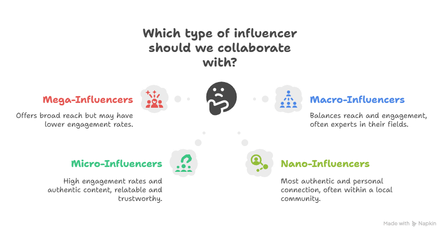 Diagram Showing The Types of Influencer Marketers to Collaborate With